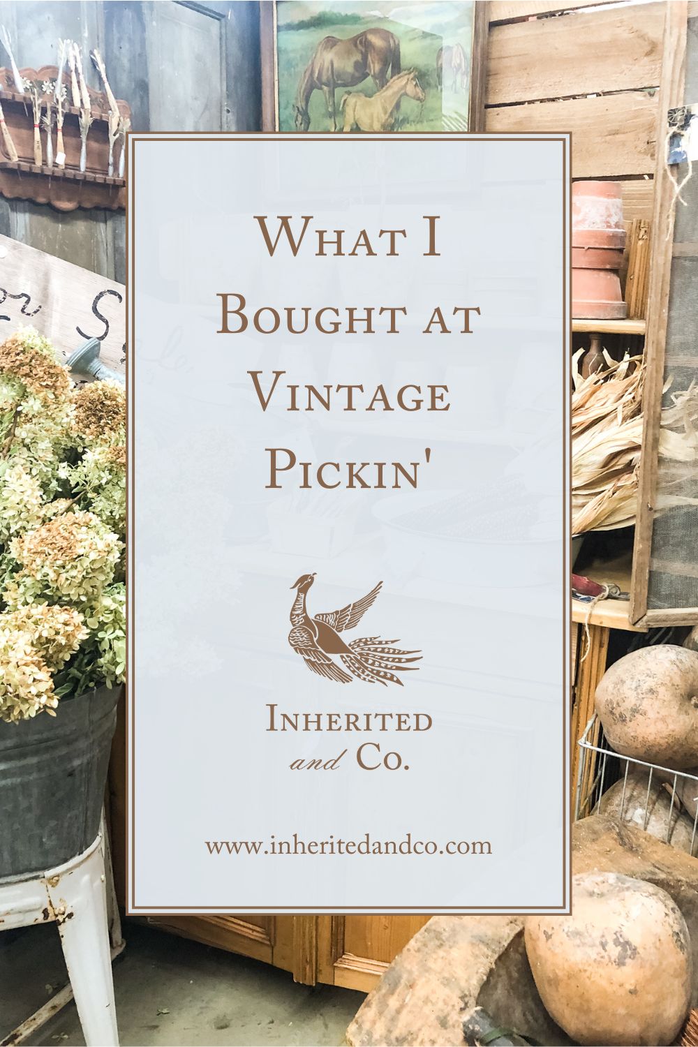 Pale blue graphic saying "What I Bought at Vintage Pickin'" featuring a pheasant logo for Inherited and Co. with all on top of a photo of a rustic antique vignette