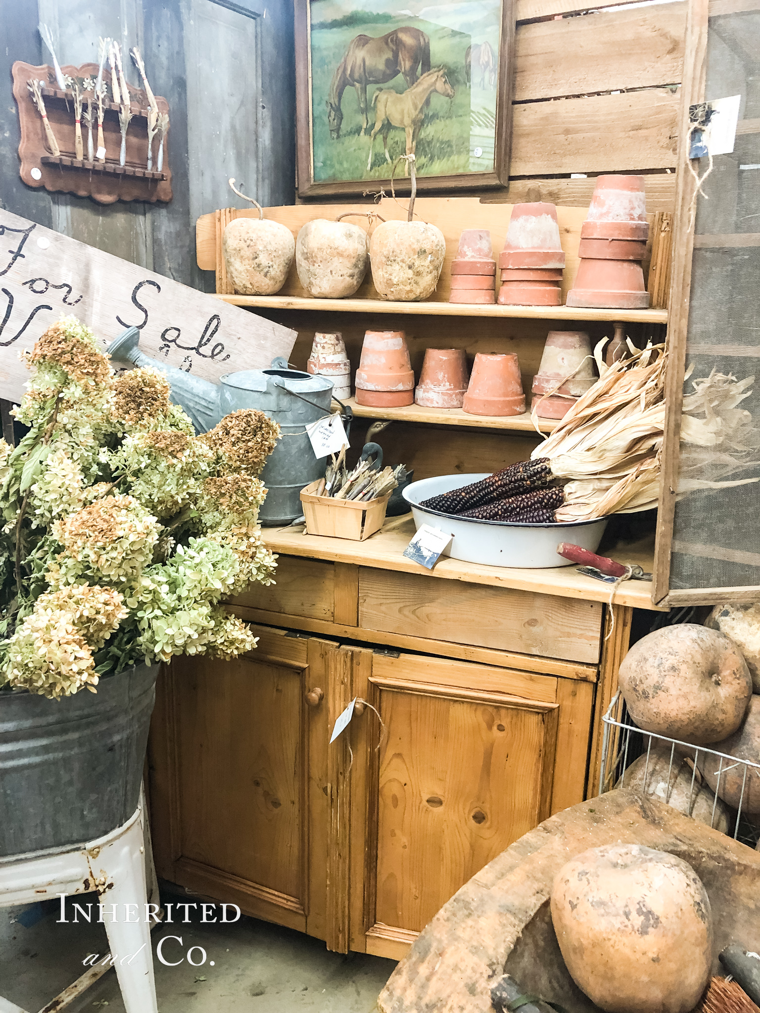 Vintage pine cabinet, dried hydrangeas, terracotta pots
