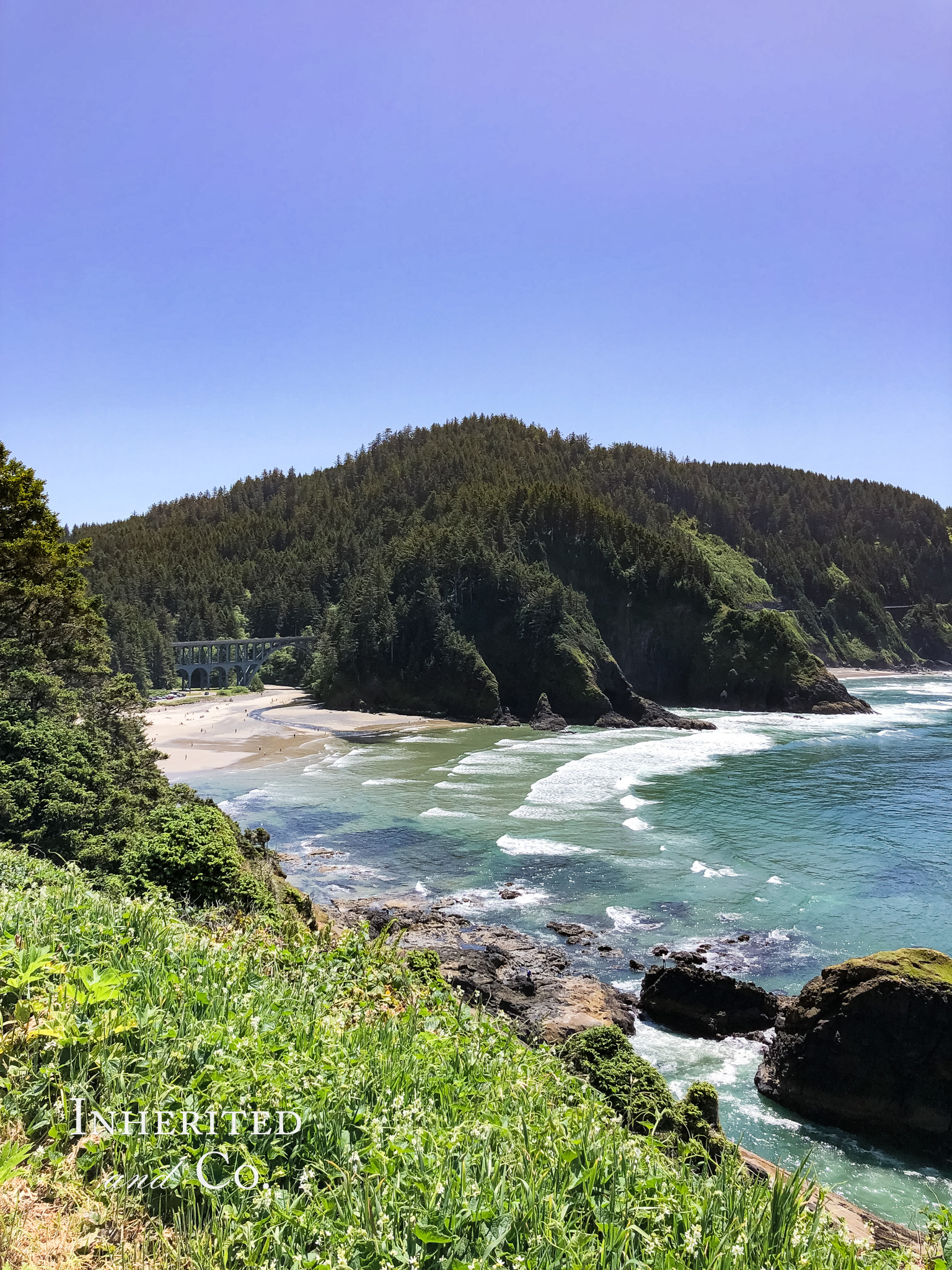 Oregon Coastal Drive