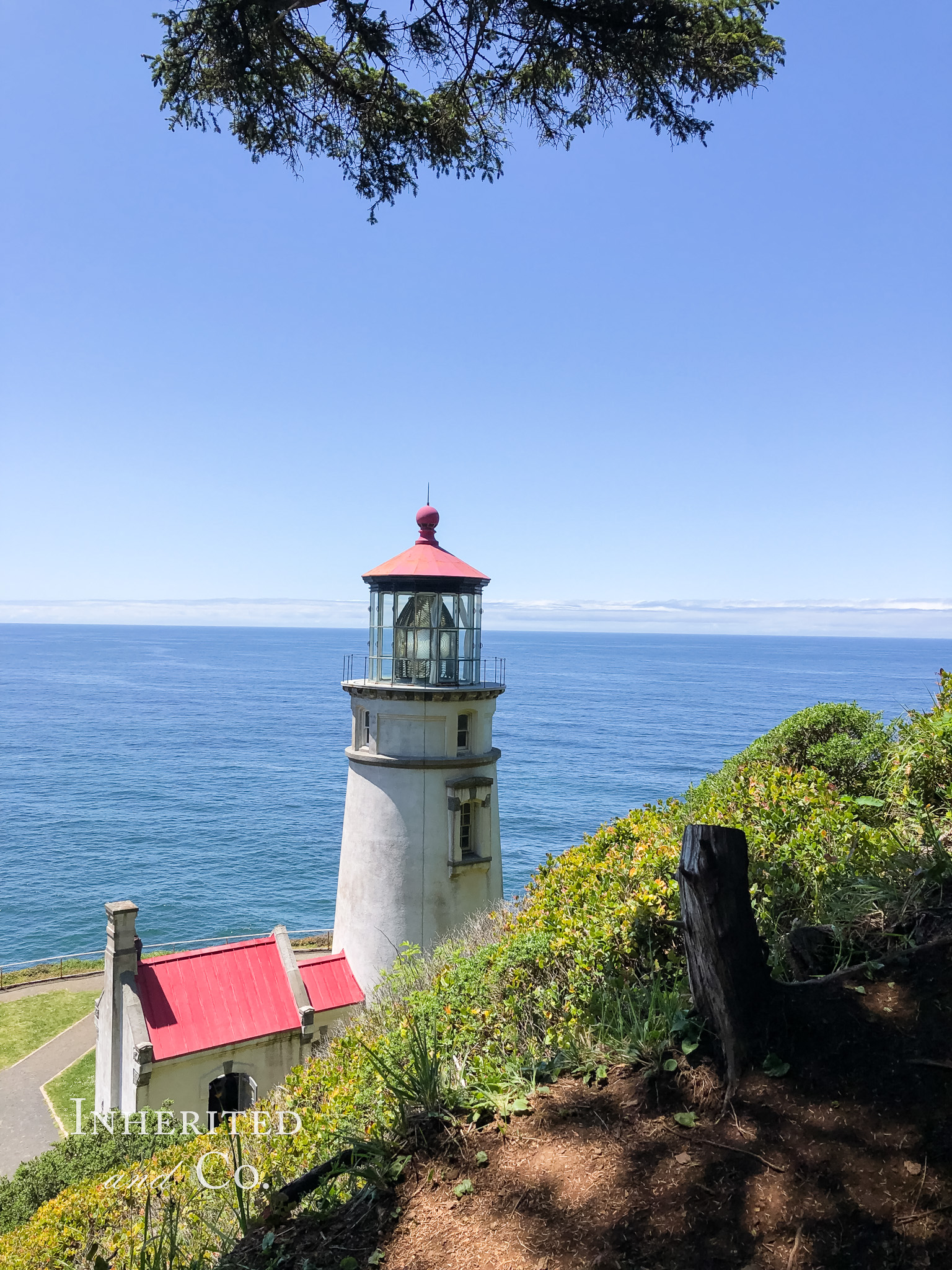 View of the Pacific Ocean from Heceta Head Lighthouse