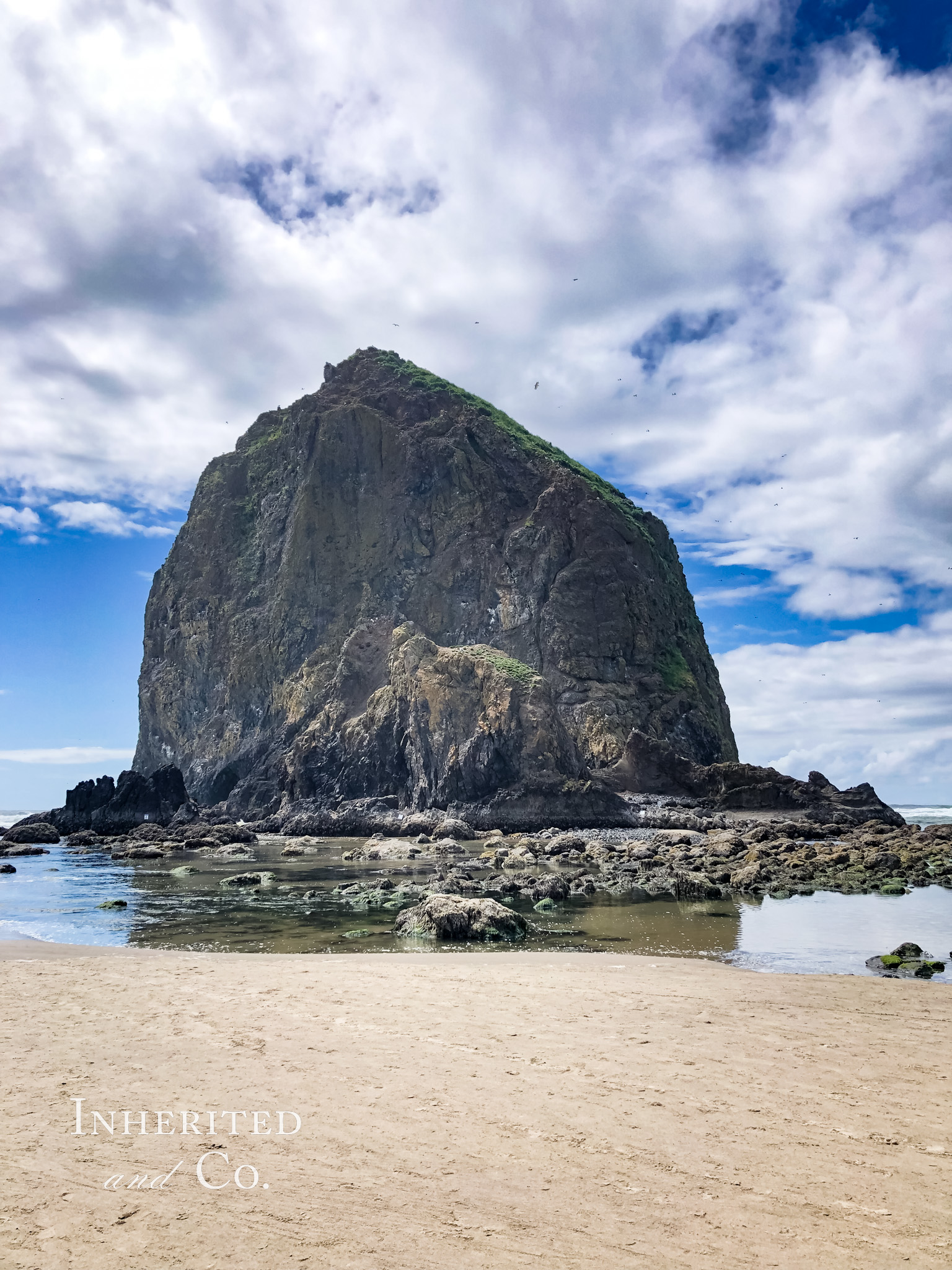 Close-up View of Haystack Rock at Oregon's Cannon Beach