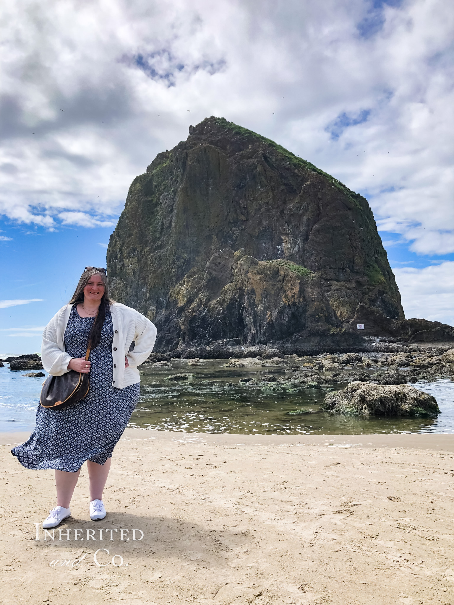 Inherited and Co. at Haystack Rock