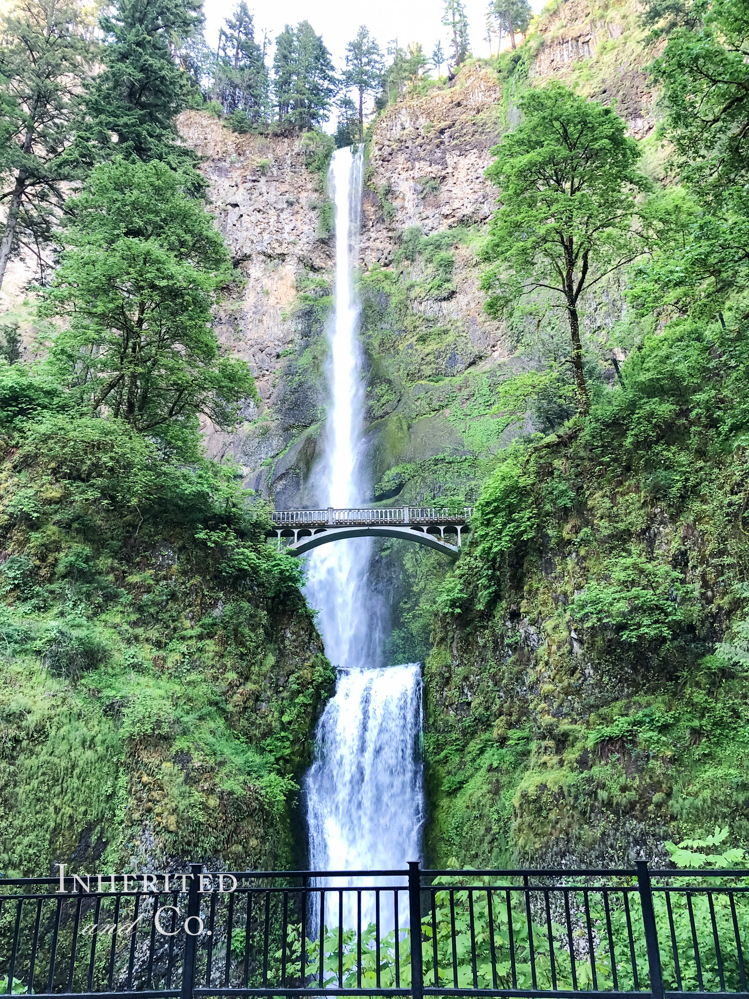 Multnomah Falls outside of Portland, Oregon