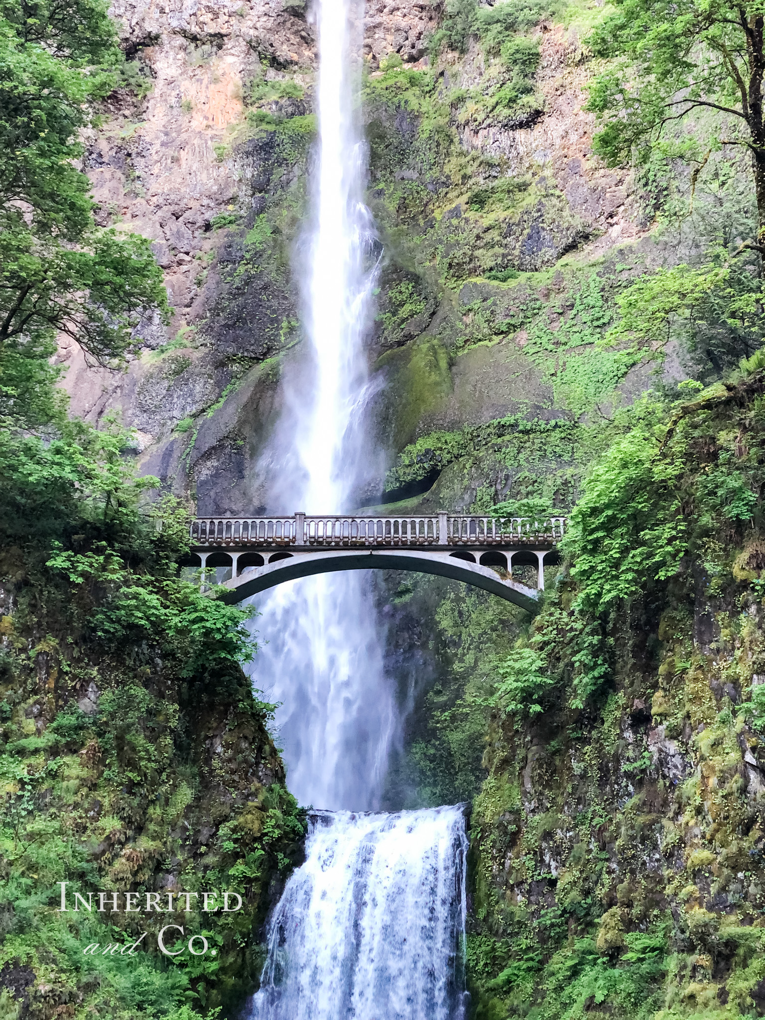 A must-stop attraction on a road trip from Napa to Seattle, outside of Portland, Oregon