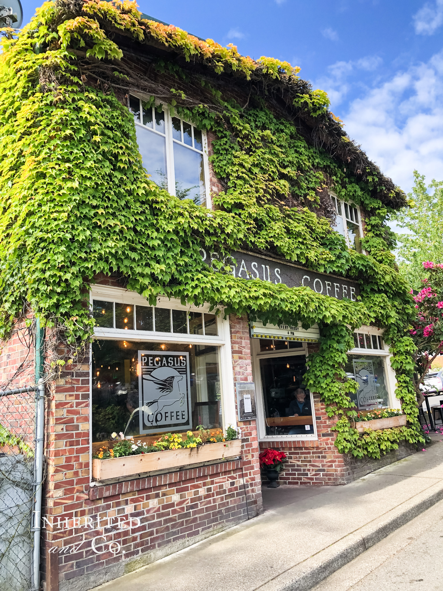 Pegasus Coffee on Bainbridge Island