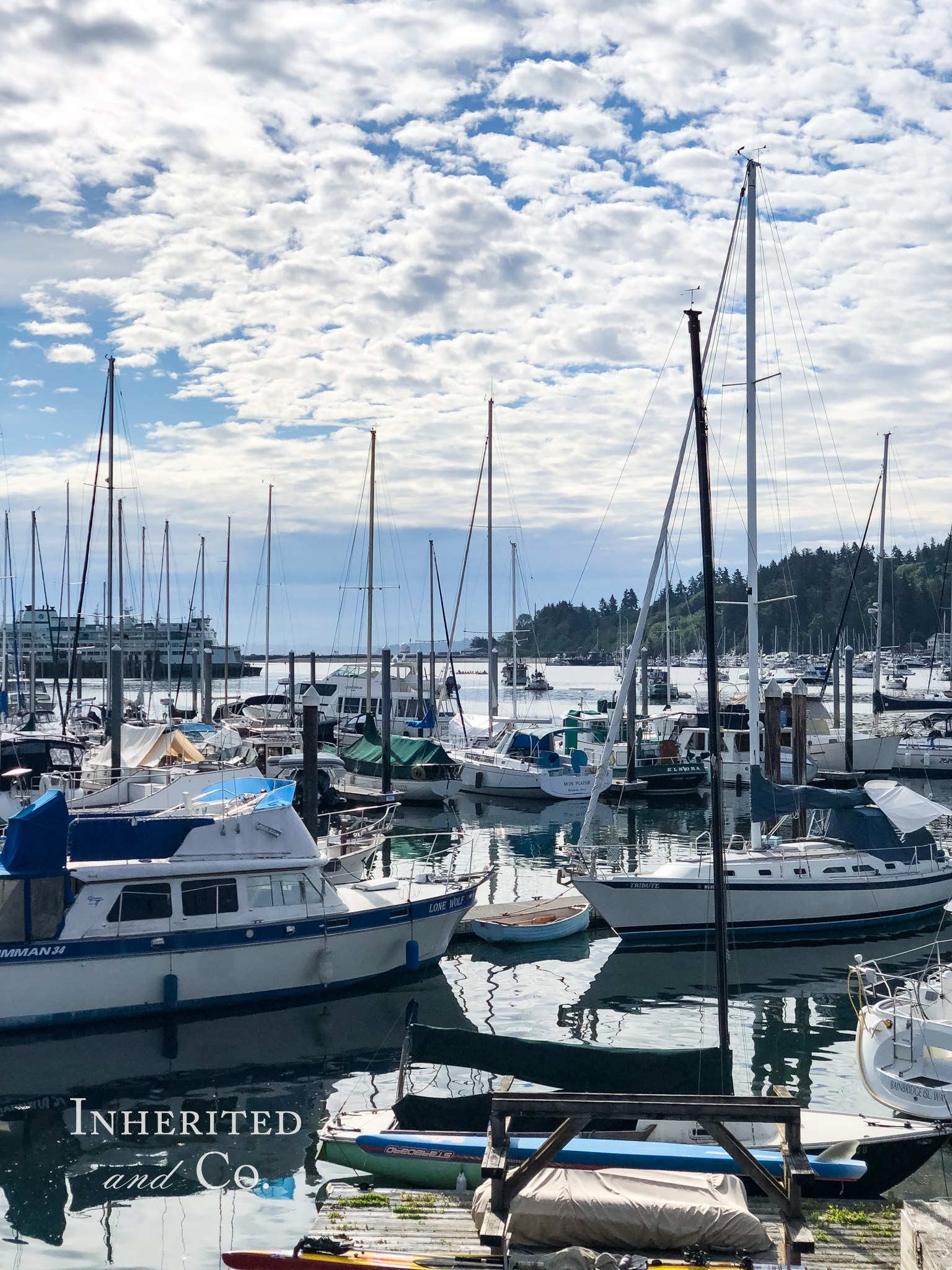 Bainbridge Island Marina