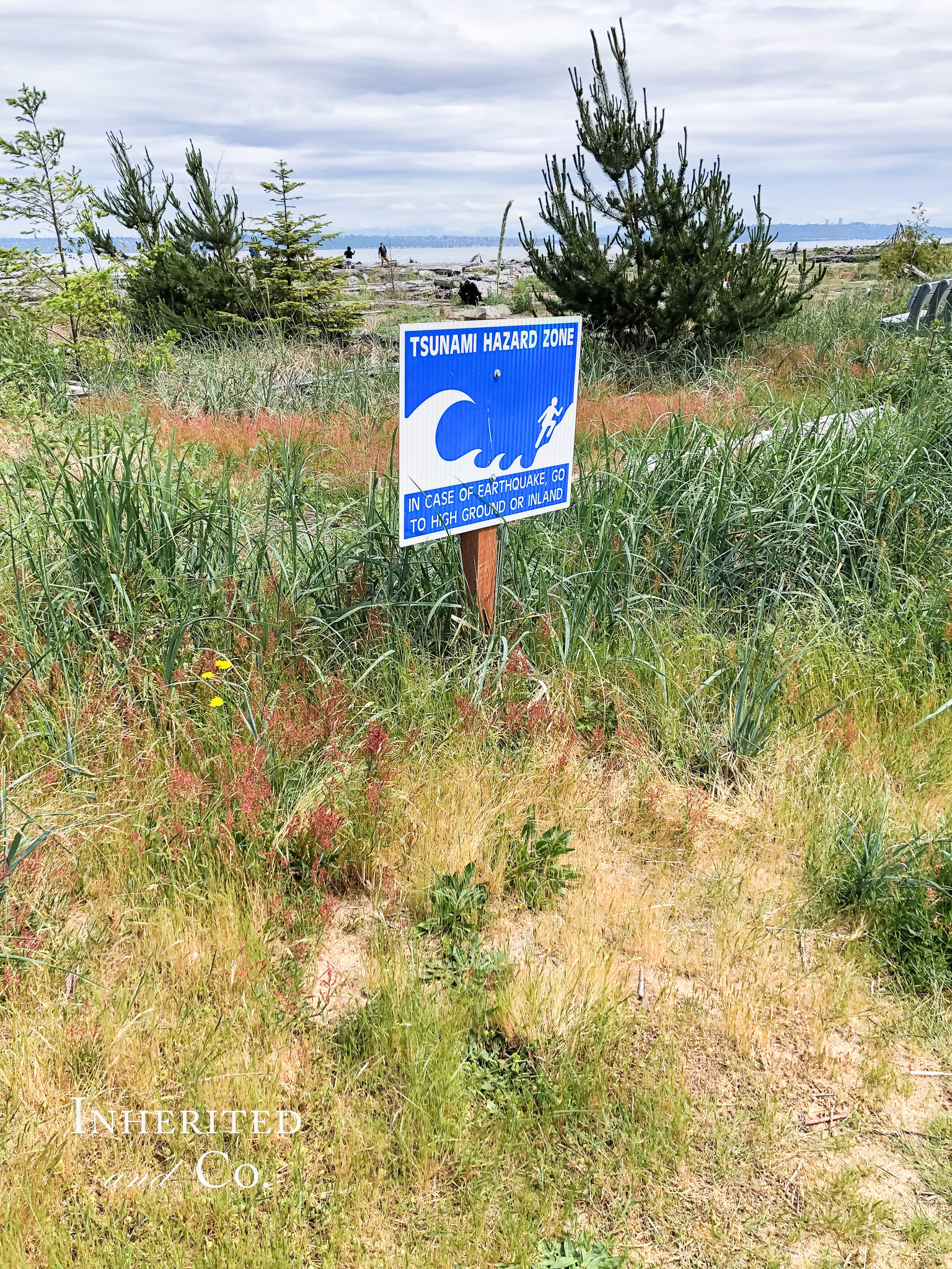 "Tsunami Hazard Zone" sign