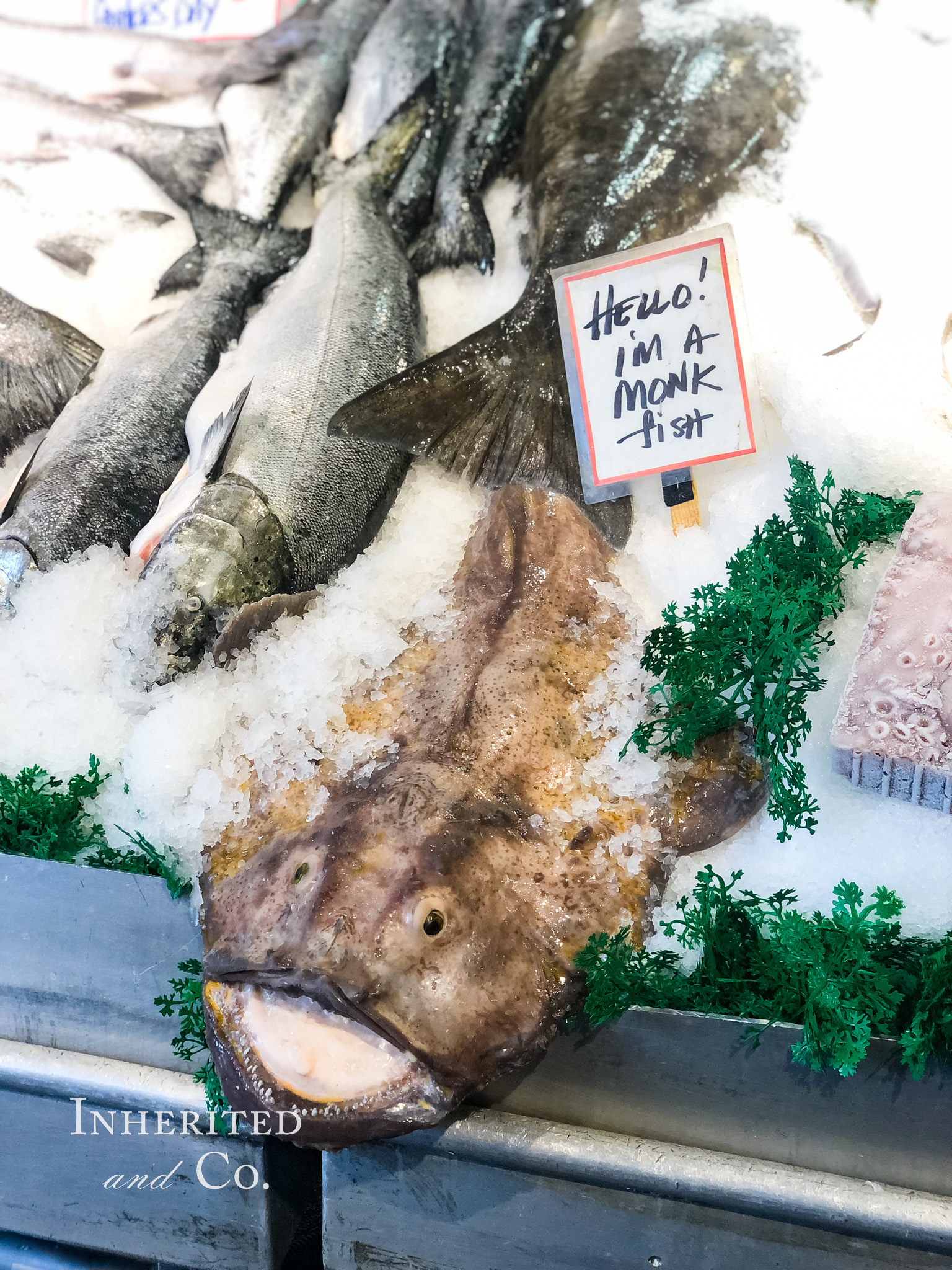 Fish at Pike's Place Market