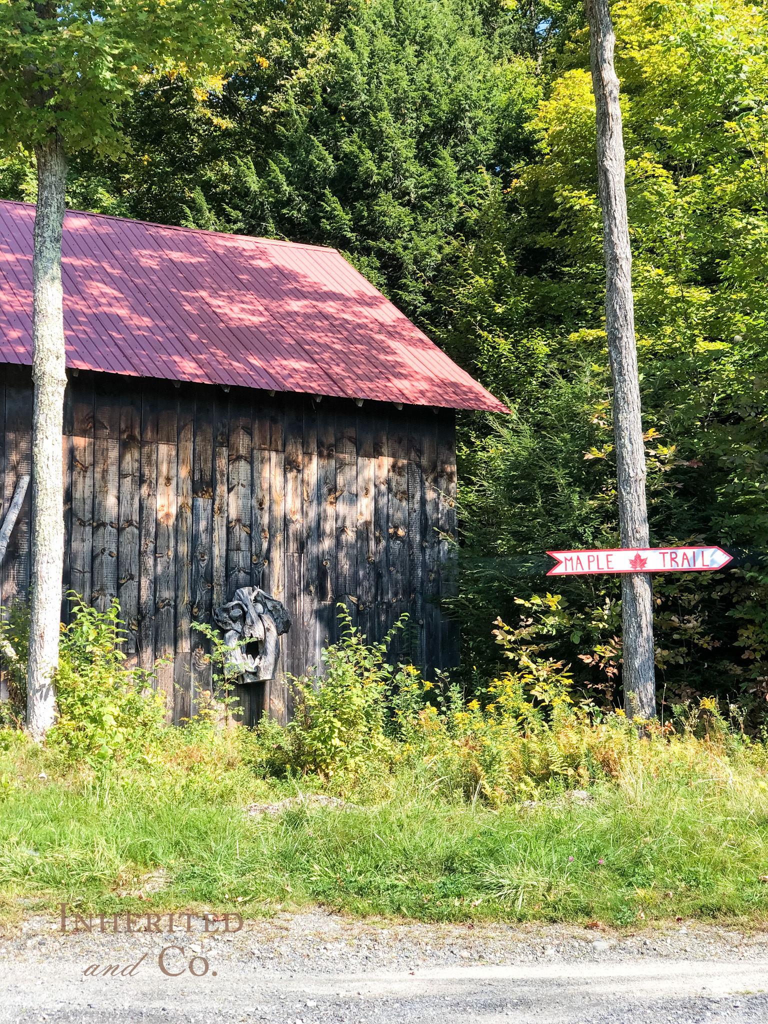 "Maple Trail" at Morse Farm Maple Sugarworks