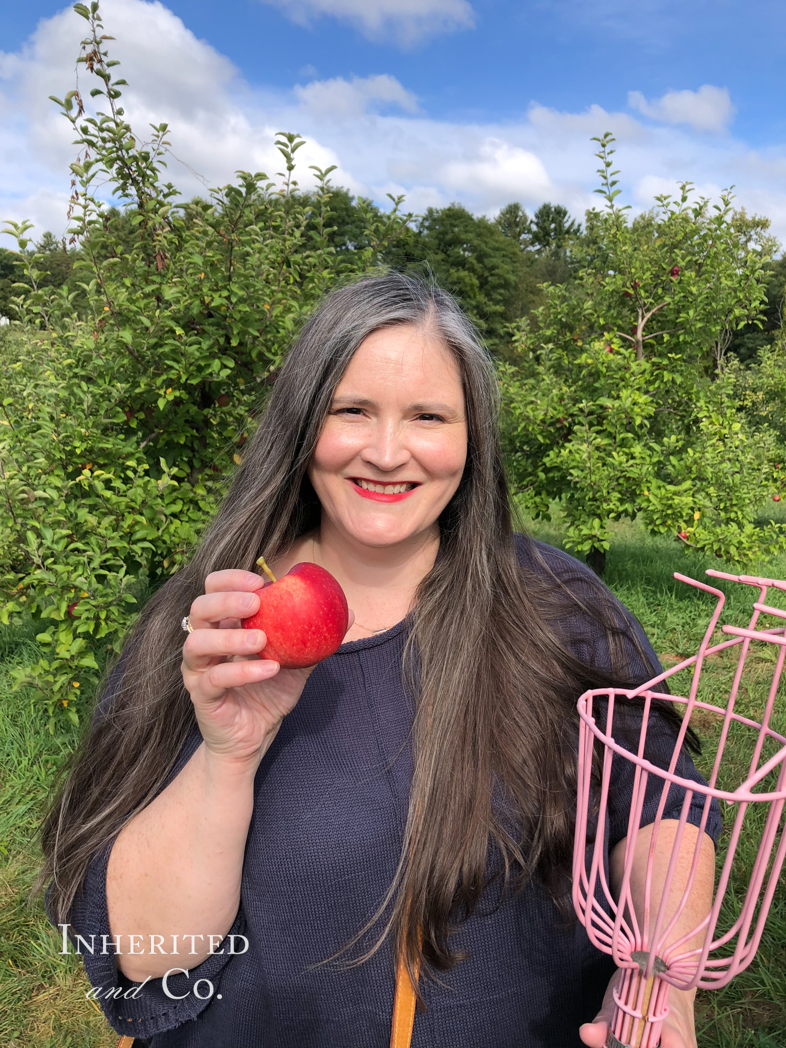 Apple picking at Scott Farm Orchard