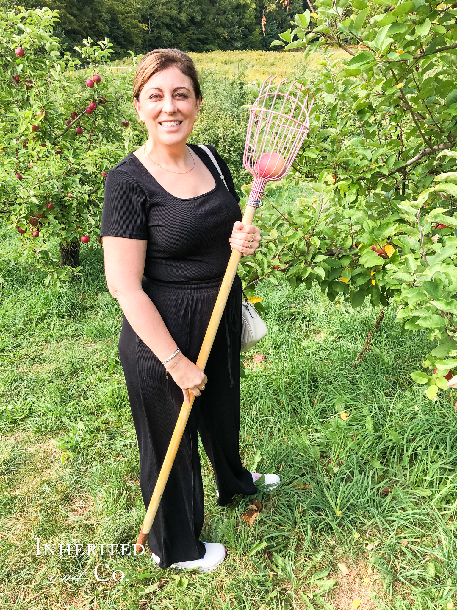 Apple picking at Scott Farm Orchard in Vermont