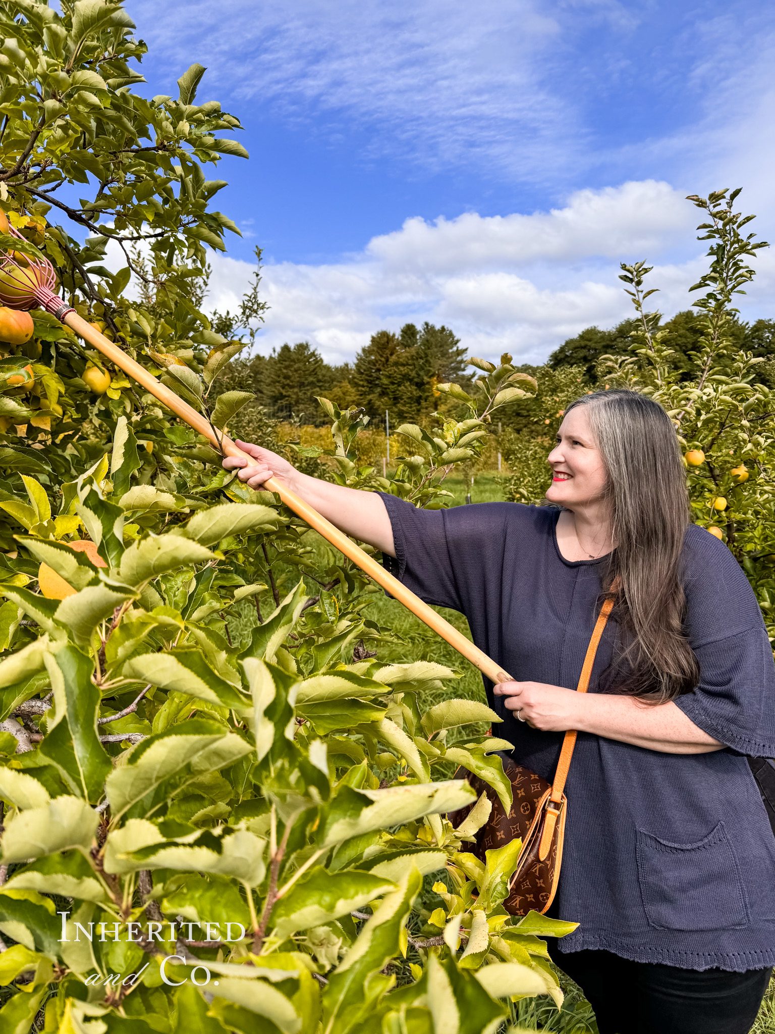 Apple Picking in Vermont