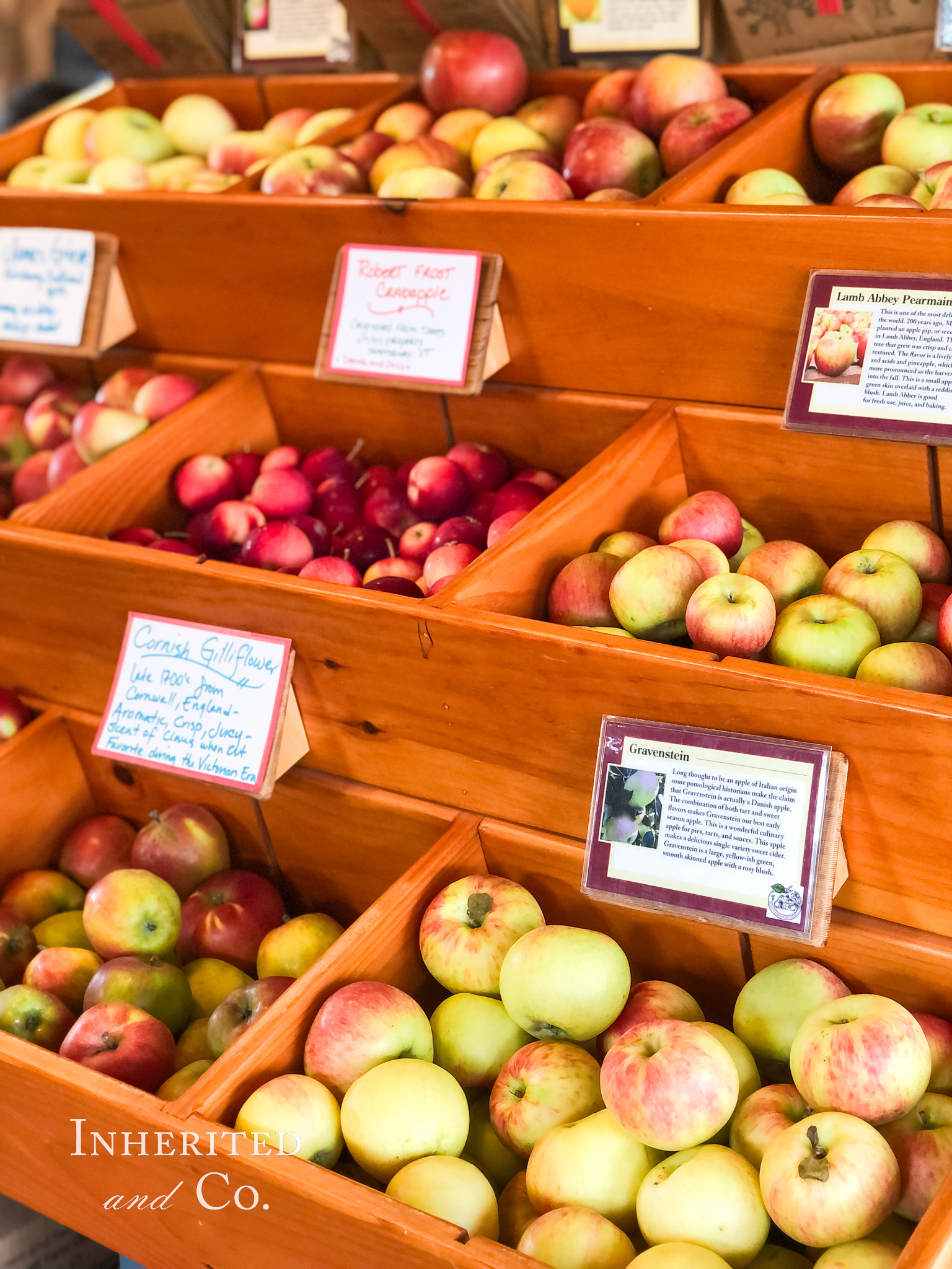 Apples at Scott Farm Orchard