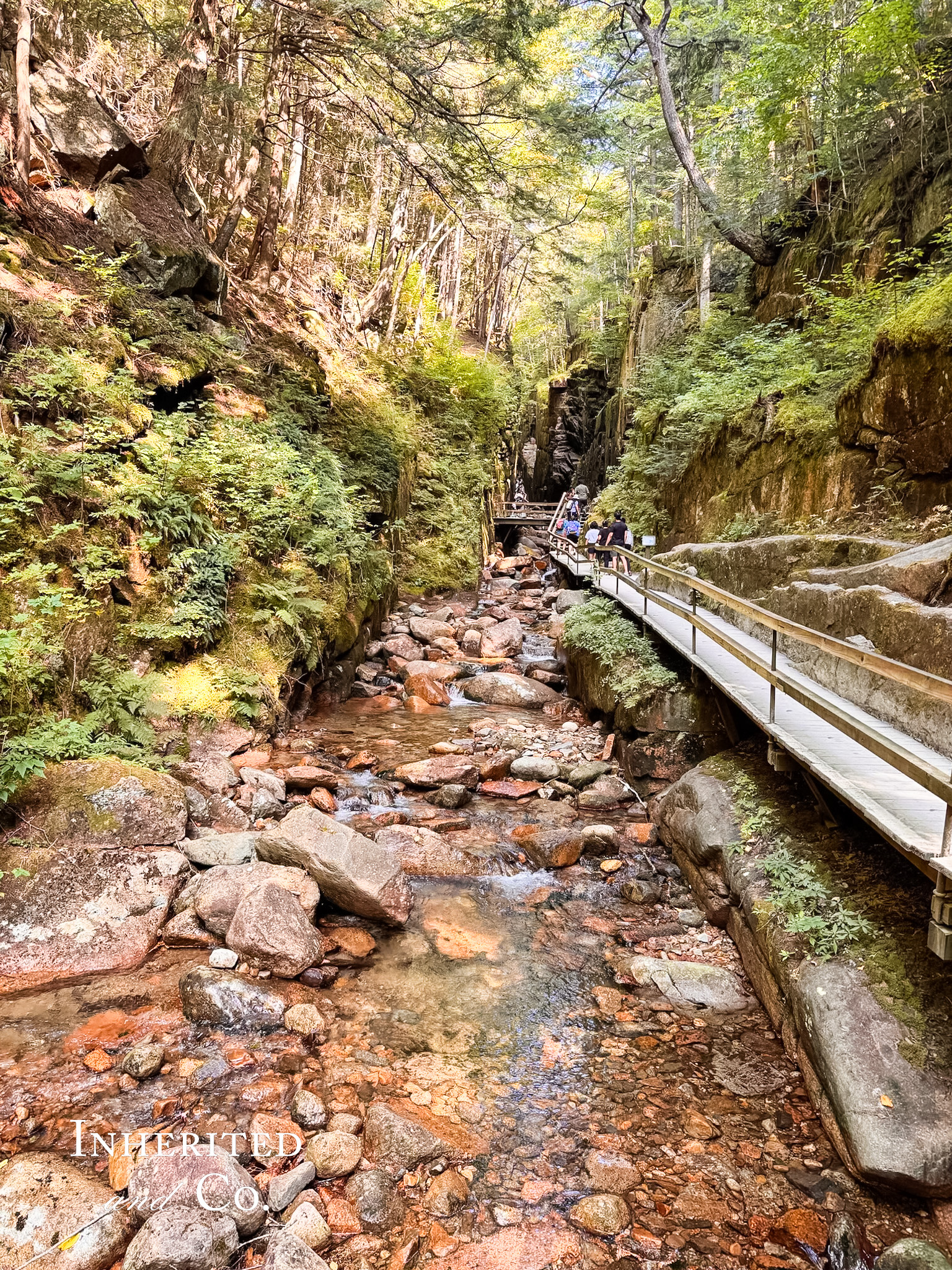 Flume Gorge in New Hampshire