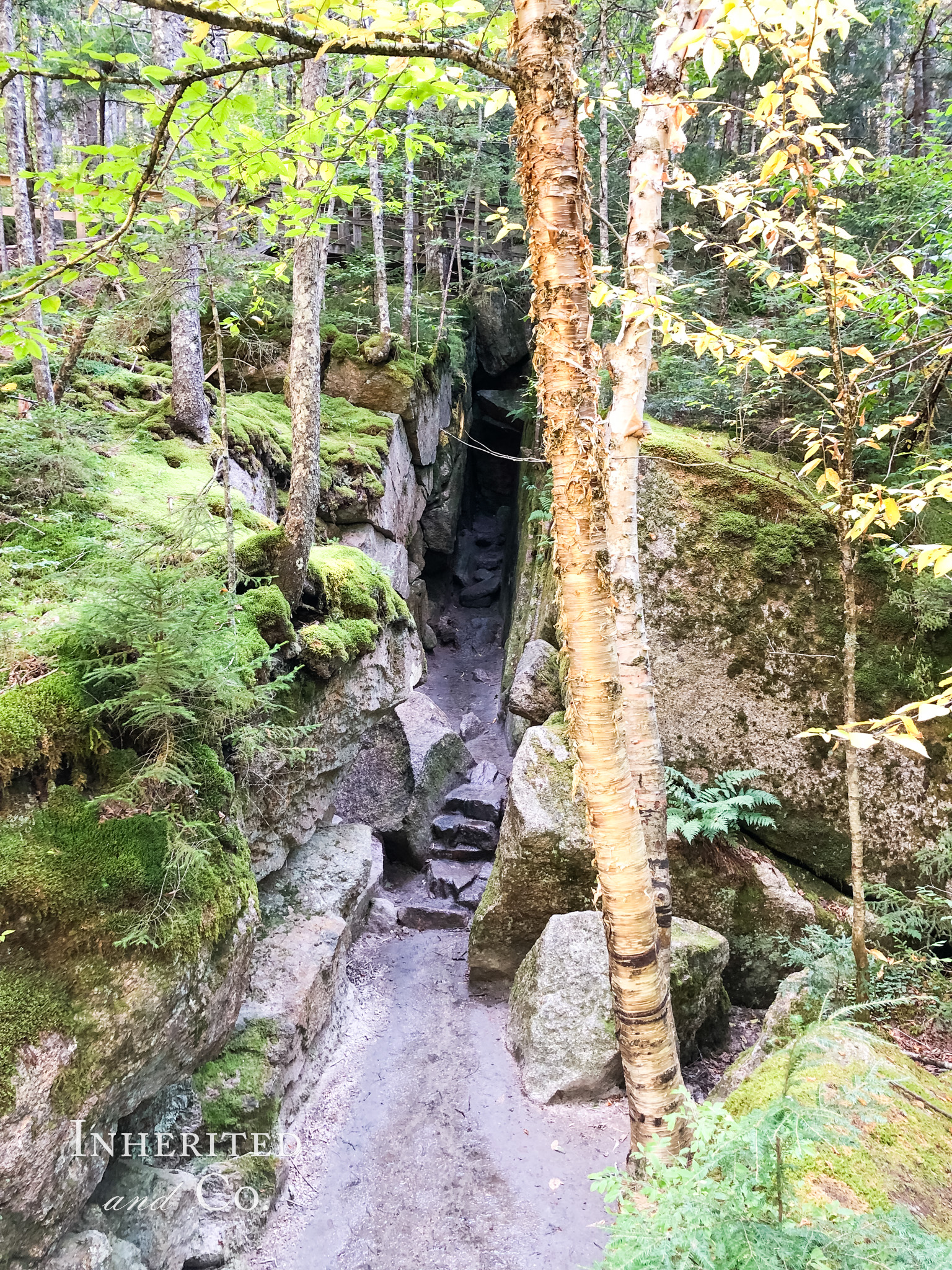 Wolf Den at Flume Gorge