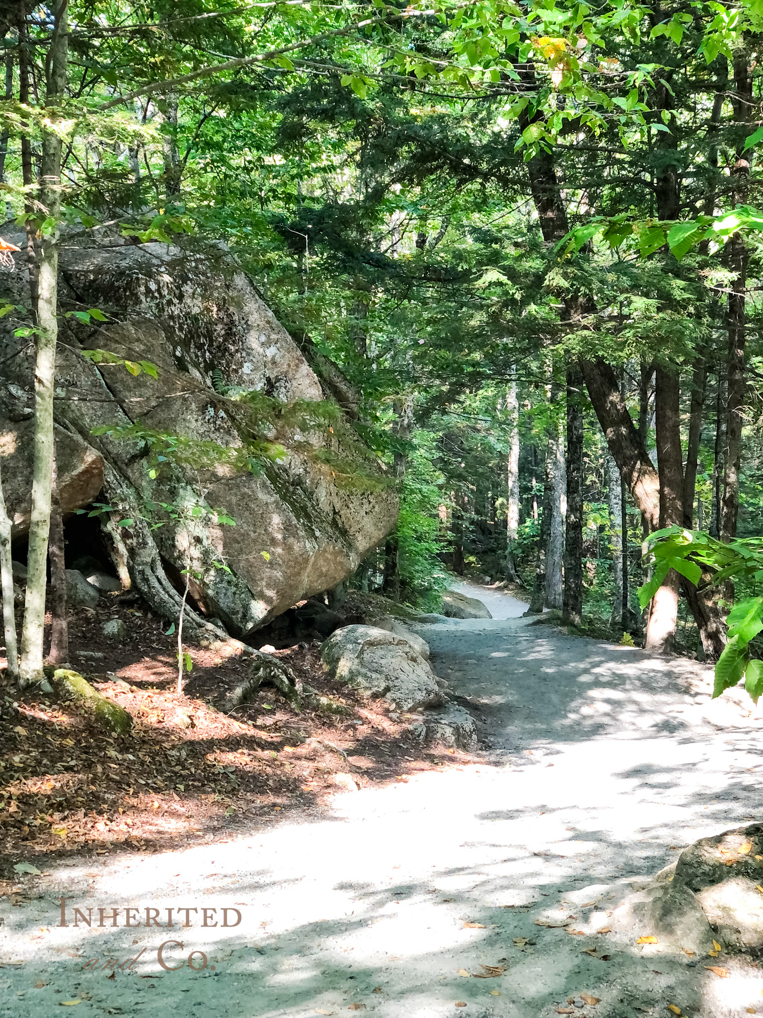 Hiking path at Flume Gorge