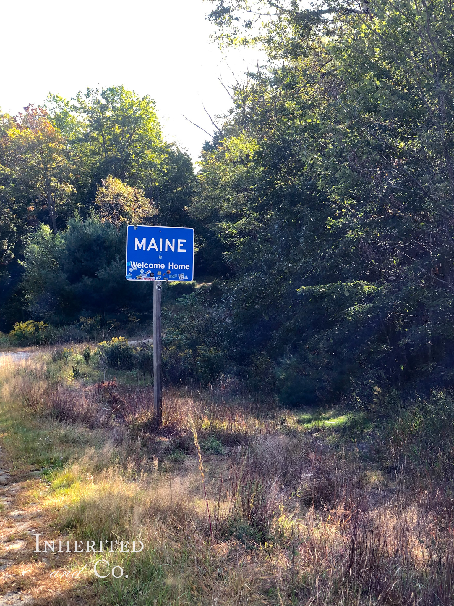 Maine Roadside Sign