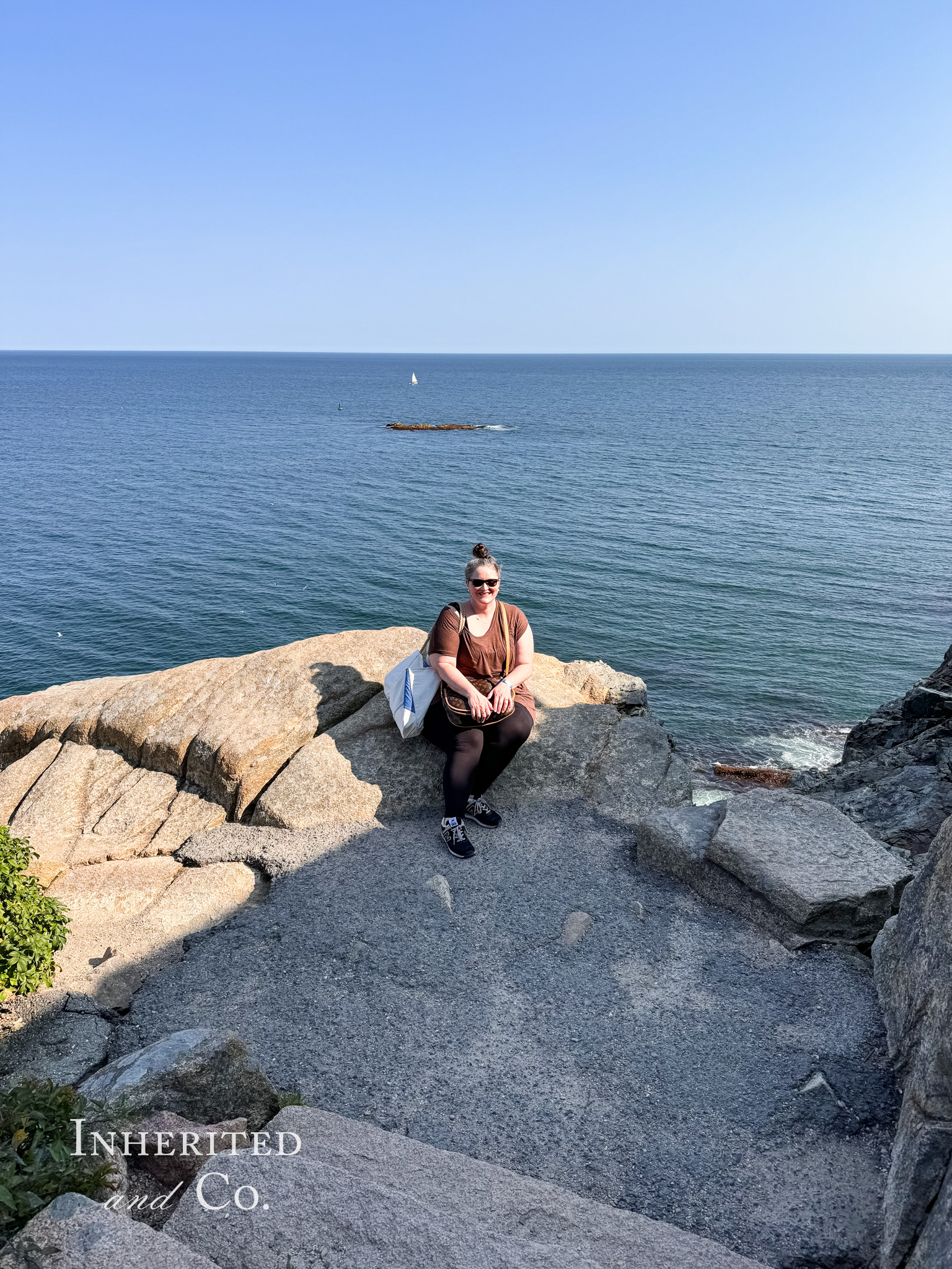 Otter Creek Cliffs in Acadia