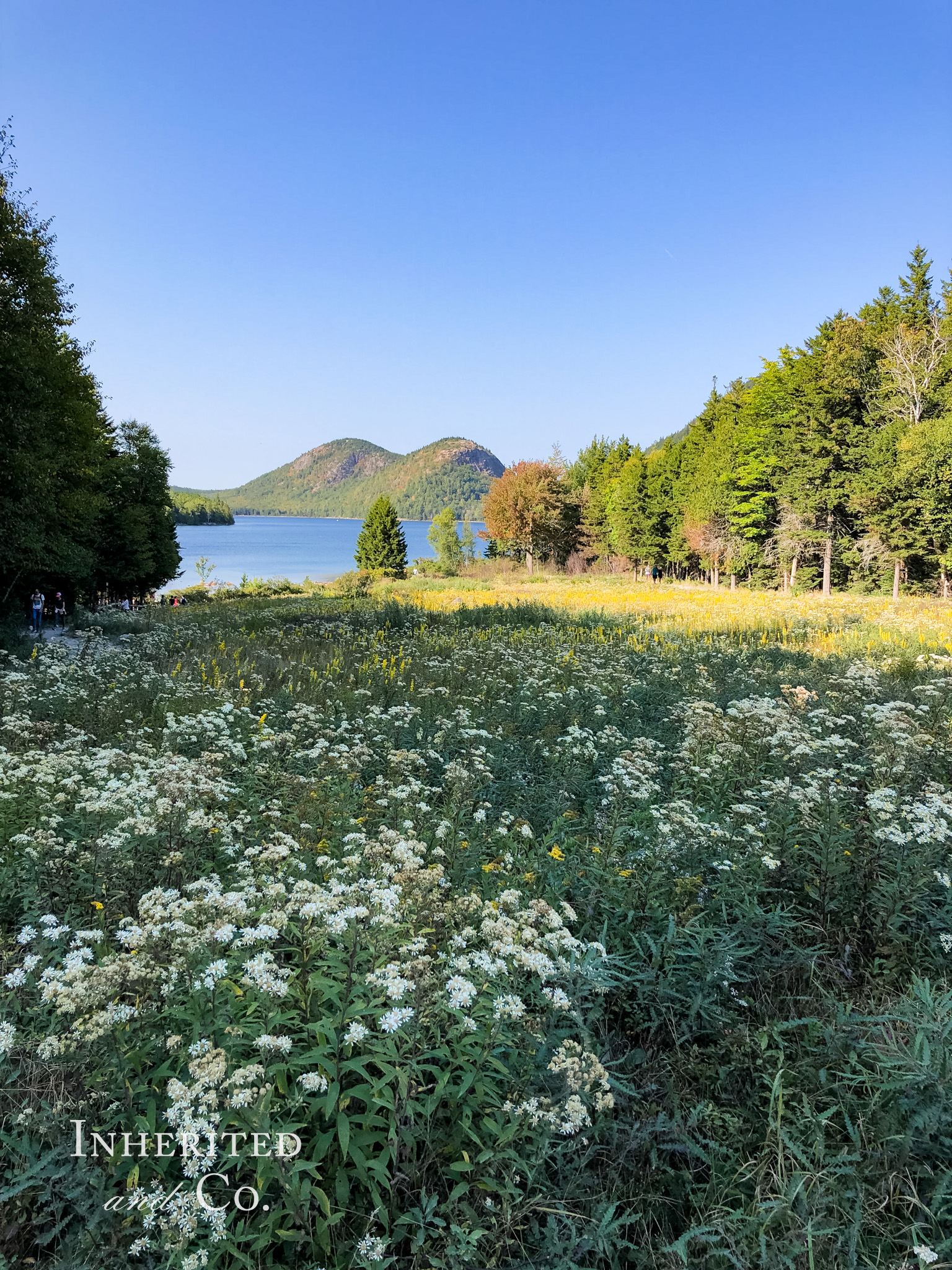 Jordan Pond at Acadia National Park