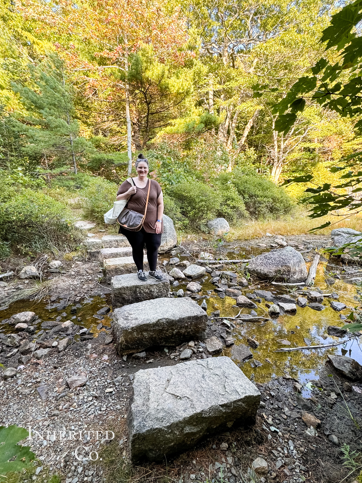 Stone Path at Bubble Pond in Acadia National Park in Maine